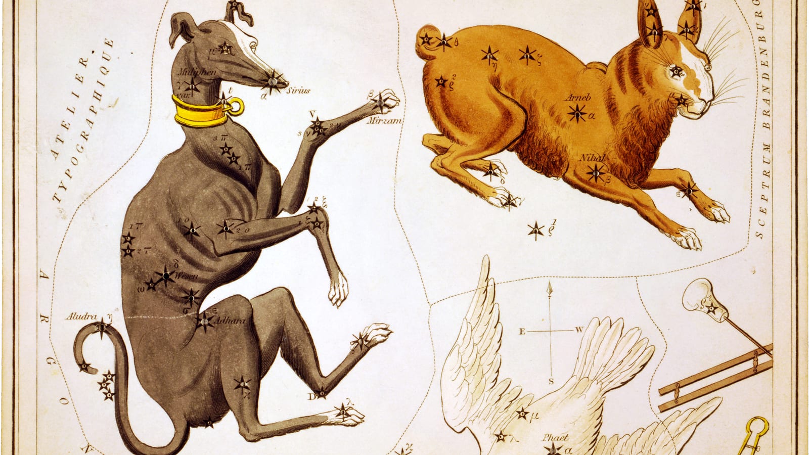 Canis Major, the Great Dog, on an 1825 star chart by Sidney Hall